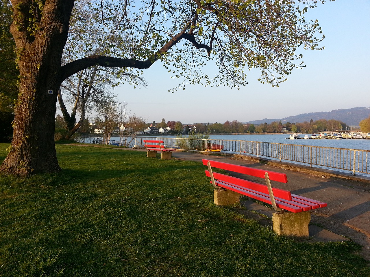 赛中获得一 赛中获得一